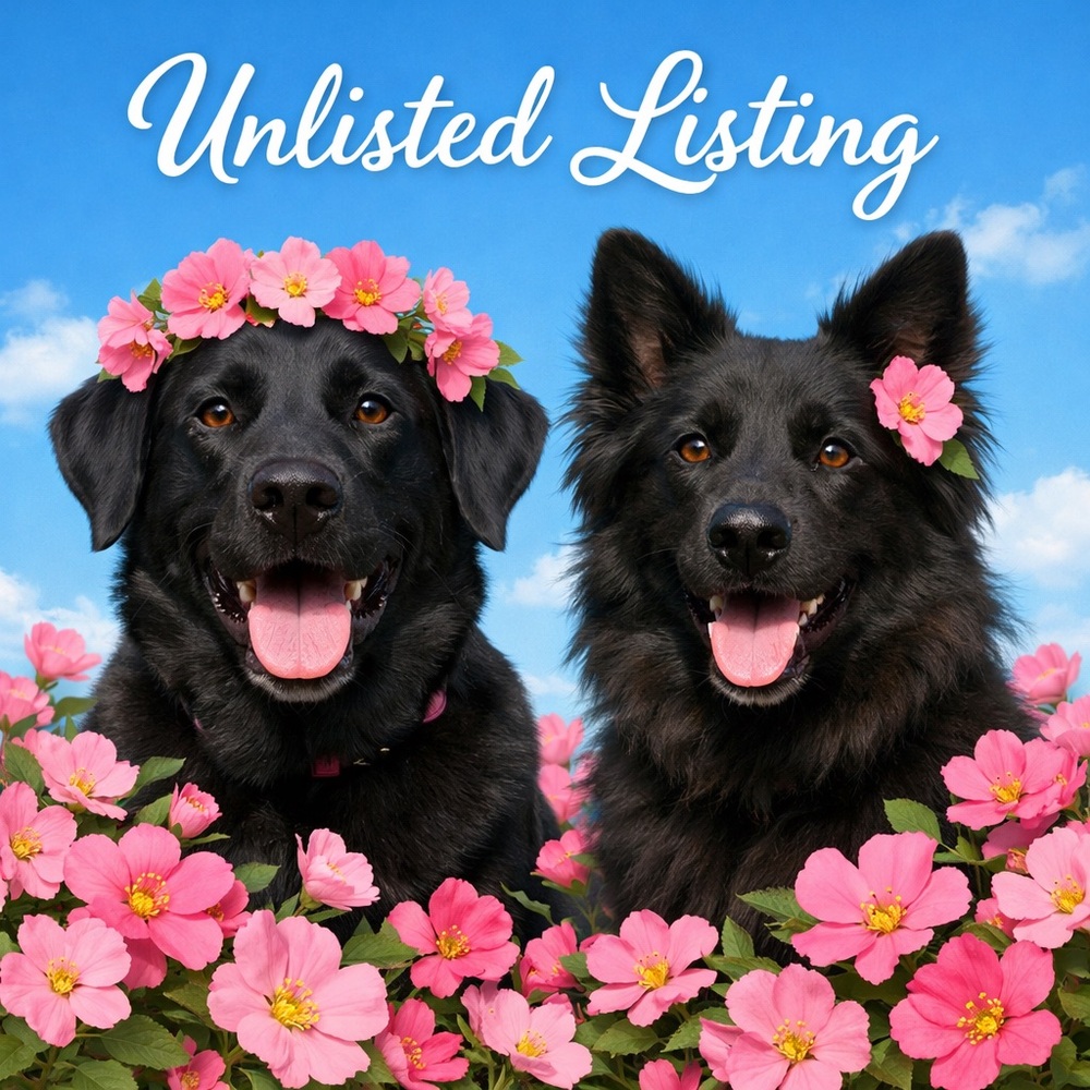 Unlisted Listing #39